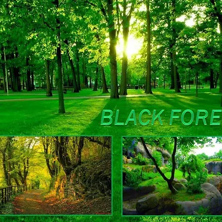 H2 Ap3 Mit Beheiztem Innenpool Und Sauna Apartman Sasbachwalden